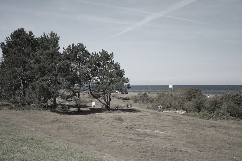 Killikus® Fotographie Killikus® Fotographie